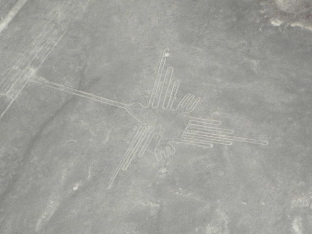 Nazca-Linien, Kolibri